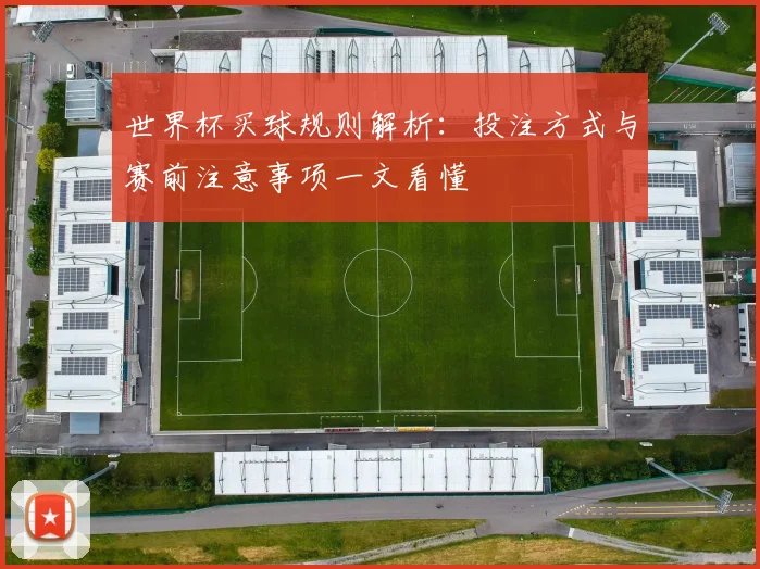 世界杯买球规则解析：投注方式与赛前注意事项一文看懂