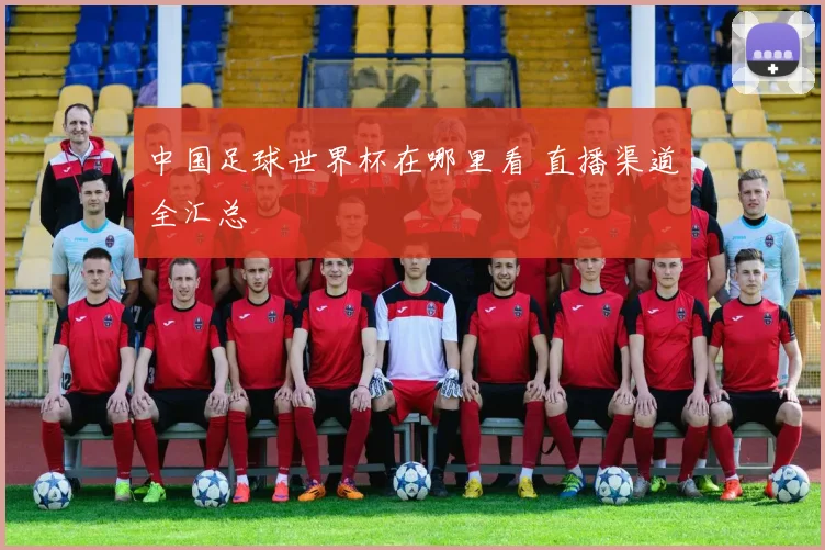 中国足球世界杯在哪里看 直播渠道全汇总