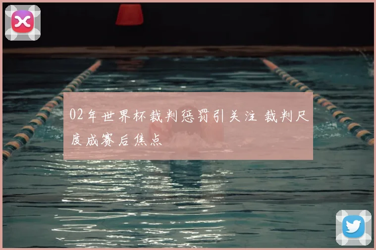 02年世界杯裁判惩罚引关注 裁判尺度成赛后焦点