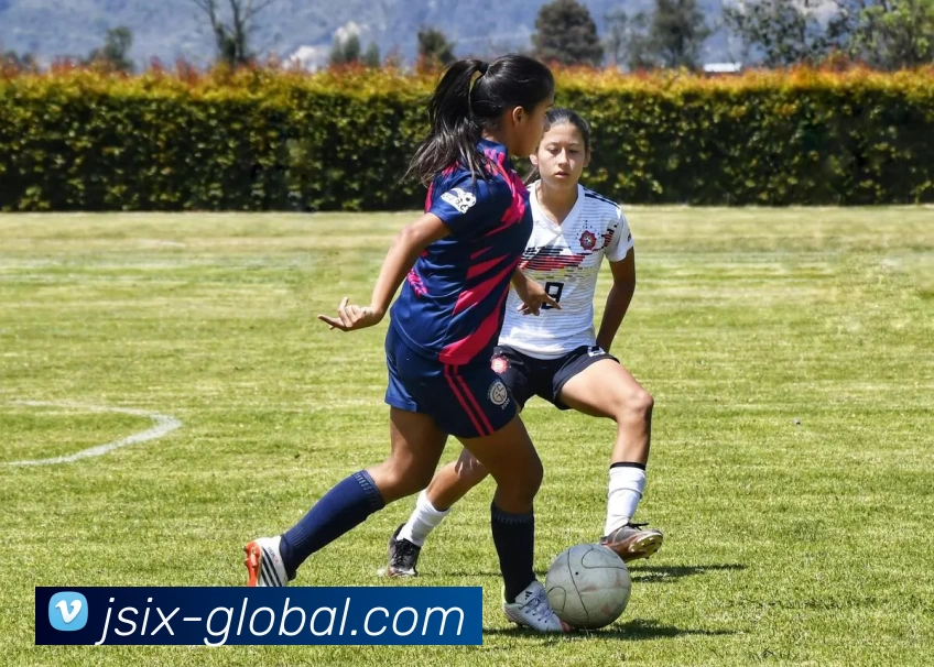 9游体育APP 高清赛事图